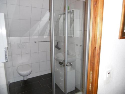 a bathroom with a shower with a sink and a toilet at Twistesee 36 in Bad Arolsen