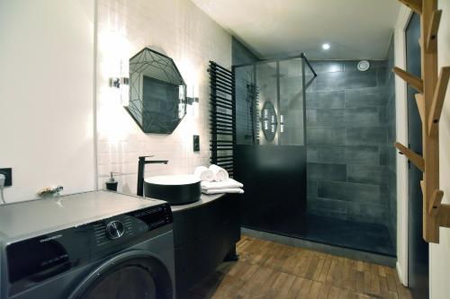 La salle de bains est pourvue d'un lave-linge et d'une douche. dans l'établissement Galerie - Ancienne galerie de peinture sur le port, à Dinan