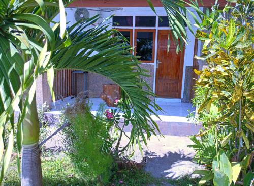 een voordeur van een huis met een palmboom bij Rocky homestay lakey nangas beach in Huu