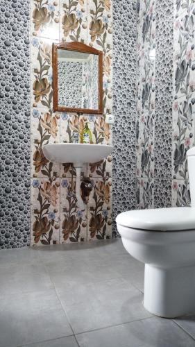 a bathroom with a white toilet and a sink at Kaplan Apart - Pansiyon in Yeşilova