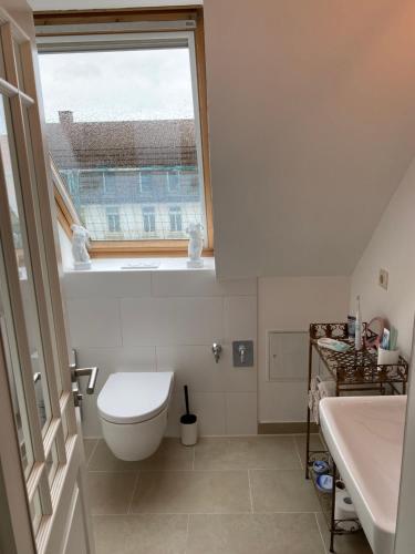 a bathroom with a toilet and a sink and a window at Mikroapartment Leipzig in Leipzig