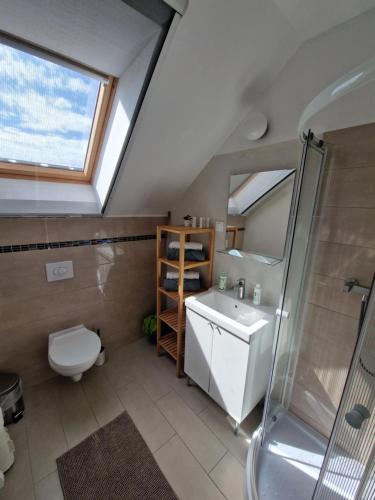 ein Bad mit einem Waschbecken, einer Dusche und einem WC in der Unterkunft Goda Apartman Siófok in Siófok