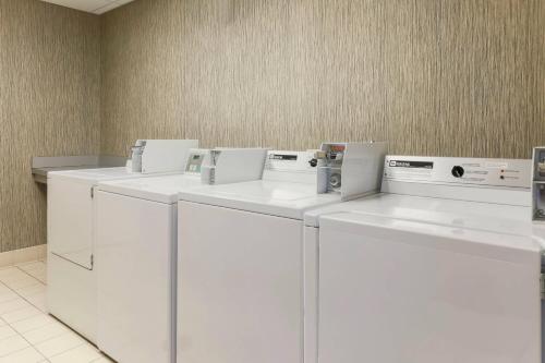 een rij wasmachines en drogers in een kamer bij SpringHill Suites by Marriott Yuma in Yuma