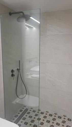 y baño con ducha y puerta de cristal. en Φιλόξενο σπίτι στο Βόλο, en Volos