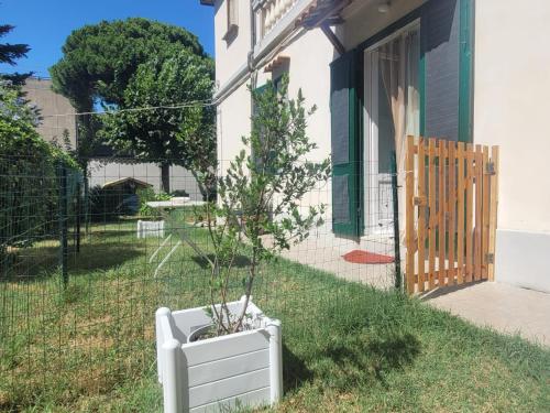 un árbol en maceta en una olla blanca delante de una casa en Casa Siria, en Livorno