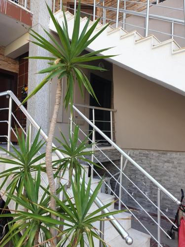 Un balcon sau o terasă la Апартаметы Либия Libiya в центре Кемера дуплекс две спальни, 140 кв м, 300 м до пляжа,рамещение до 5 человек