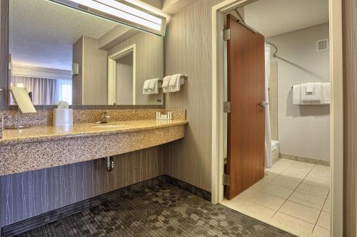 a bathroom with a sink and a mirror at Courtyard by Marriott Harrisburg West/Mechanicsburg in Mechanicsburg