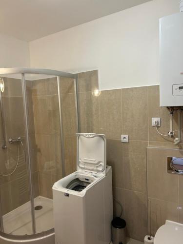 y baño pequeño con ducha y aseo. en Kondé Apartments C, en Dunajská Streda