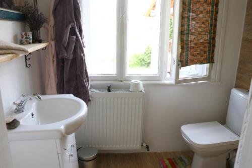a bathroom with a sink and a toilet and a window at Casa cu levănțică in Balşa