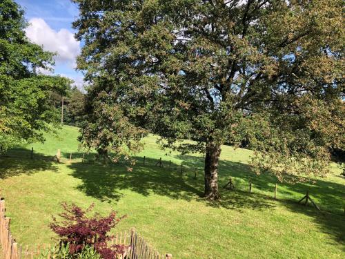 un árbol en un campo junto a una valla en Tillac Chambres d'hôtes, en Pléchâtel