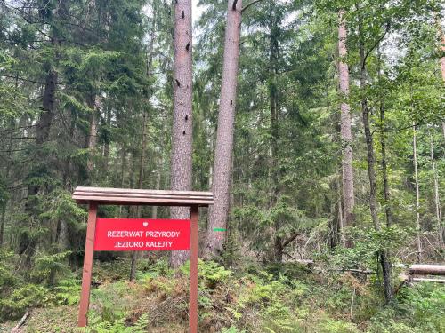 a red sign in the middle of a forest at Żurawi Staw- siedlisko obok Augustowa in Augustów
