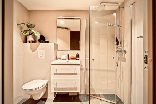 a bathroom with a shower and a toilet and a sink at Magnificent Modern Apartment Central Oslo in Oslo