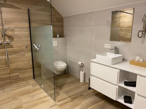 a bathroom with a shower and a toilet and a sink at le 701 in Theux
