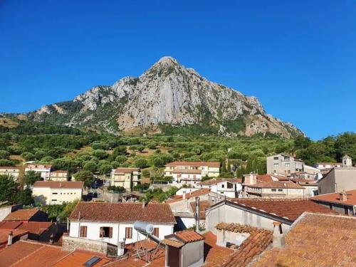 einen Berg im Hintergrund einer Stadt mit Dächern in der Unterkunft Delizioso appartamento al centro di Bosco SAN GIOVANNI A PIRO in Casal Sottano