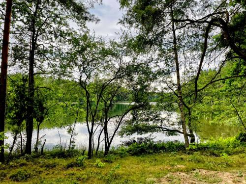 a view of a lake through the trees at Żurawi Staw- siedlisko obok Augustowa in Augustów