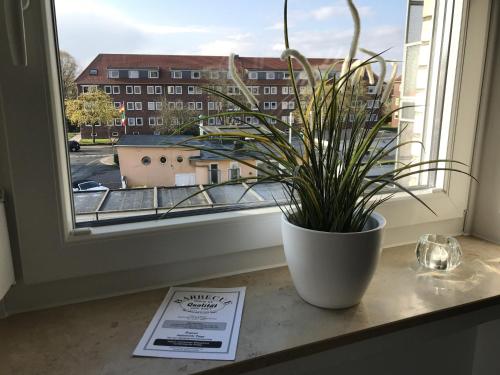 ヴィルヘルムスハーフェンにあるFerienwohnung Hallix - Wilhelmshavenの窓辺に座った鉢植え