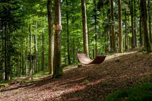 a hammock in the middle of a forest at Wellness & Naturresort Reischlhof in Wegscheid