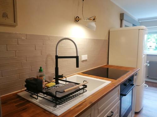 a kitchen with a sink and a faucet at Haus Sandstein Glück Biedermann in Bad Schandau