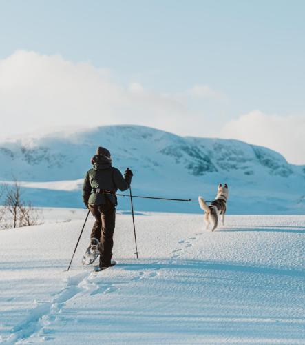 a person on skis with a dog in the snow at Highland Lodge Fjellandsby in Geilo