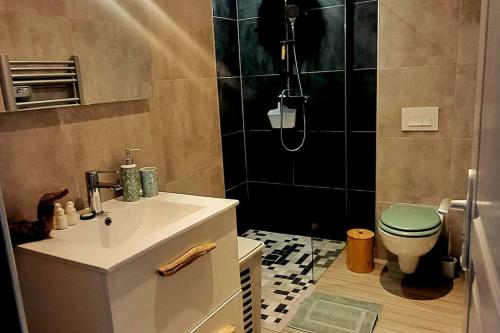 a bathroom with a toilet and a sink and a shower at Magnifique T2 in Ajaccio
