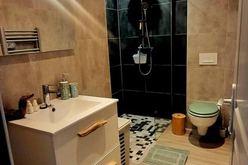 une salle de bain avec toilettes, lavabo et douche dans l'établissement Magnifique T2, à Ajaccio