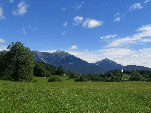 un champ d'herbe verte avec des montagnes en arrière-plan dans l'établissement Apartmaji Volf, à Zgornje Gorje