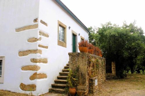a white building with stairs and potted plants on it at Casa do Trola - Ferreira do Zêzere in Águas Belas
