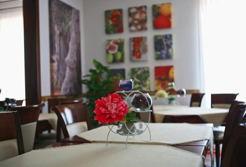 un tavolo con un vaso con un fiore rosso di Villa Giovanna a Torre Suda