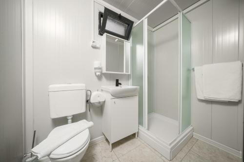 a white bathroom with a toilet and a shower at Mobile Homes Vrata Krke in Lozovac