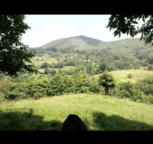 a view of a green field with a tree on a hill at La Casa Rectoral de El Tozu in Caso