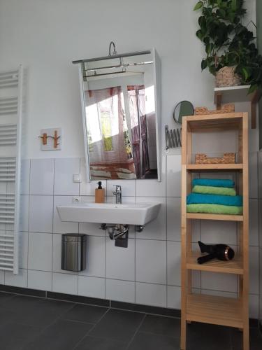 a bathroom with a sink and a cat laying on a shelf at barrierefreie Apartments in Kerken