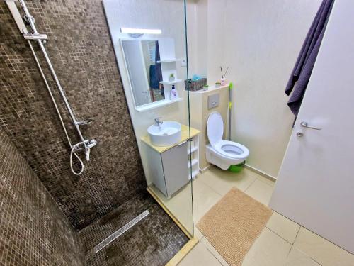 La salle de bains est pourvue d'une douche, de toilettes et d'un lavabo. dans l'établissement CCD Apartments, à Năvodari