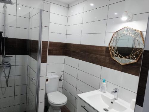 a bathroom with a toilet and a sink and a mirror at Noclegi na Heweliusza in Sanok