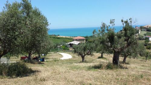 Gallery image of Villa Borsacchio in Roseto degli Abruzzi
