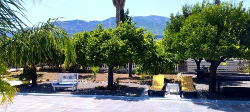 Finca él Aulagar
