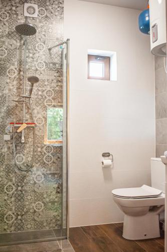a bathroom with a shower and a toilet at Domek pod Chełmową Górą in Krasnobród