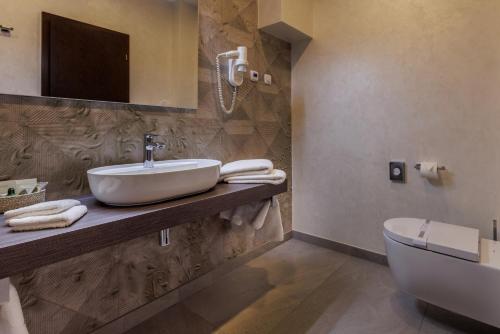 a bathroom with a sink and a toilet at Darovanský Dvůr - Wellness & Golf Hotel in Břasy