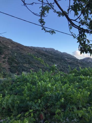 Φυσικό τοπίο κοντά σε αυτή η παραθεριστική κατοικία