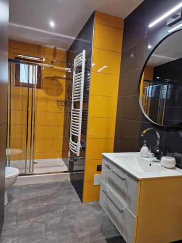 a bathroom with a shower and a toilet and a sink at Apartament Cygański Las in Bielsko-Biała