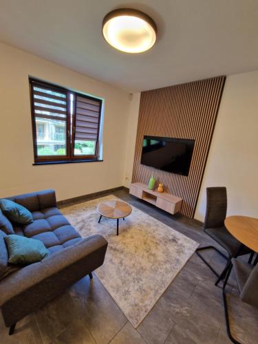 a living room with a couch and a flat screen tv at Apartament Cygański Las in Bielsko-Biała