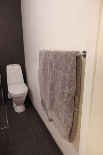 a bathroom with a white toilet and a towel at Just behind The Royal Palace in Oslo
