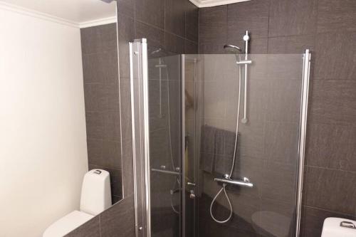 a bathroom with a shower with a glass door at Just behind The Royal Palace in Oslo