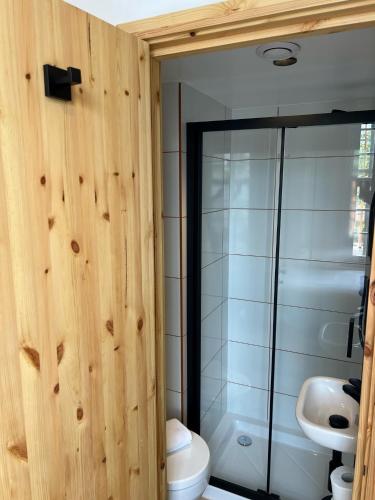 uma casa de banho com um WC, um lavatório e um chuveiro em easyHotel Paddington em Londres