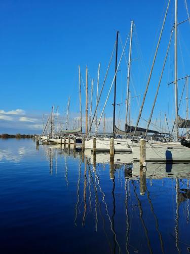 a group of boats docked at a dock in the water at Studio Flevo Batavia in Lelystad