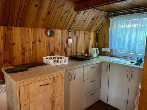 a kitchen with wooden walls and a counter top at U Lipińskich - Dom nad jeziorem in Ostrzyce