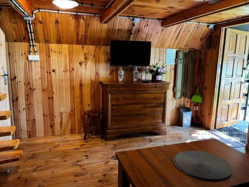 a living room with a tv on a wooden wall at U Lipińskich - Dom nad jeziorem in Ostrzyce