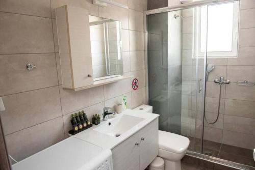 uma casa de banho com um WC, um lavatório e um chuveiro em Overlooking park flat close to the Piraeus Port-(DRAP-A7) em Piraeus