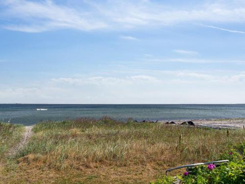 AsperupにあるHoliday Home Mirkka - 50m from the sea in Funen by Interhomeの海の景色を望むビーチから見渡せる客室です。