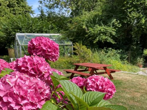 Zahrada ubytování Holiday Home Elvin - 2-7km from the sea by Interhome