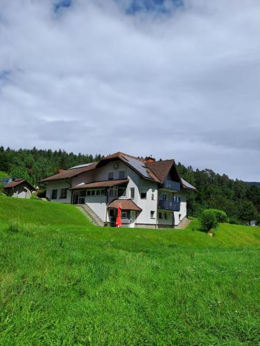 a large white house on a grassy hill at Apartma Juteršek in Libeliče